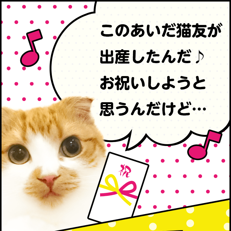 このあいだ猫友が出産したんだ♪ お祝いしようと思うんだけど・・・