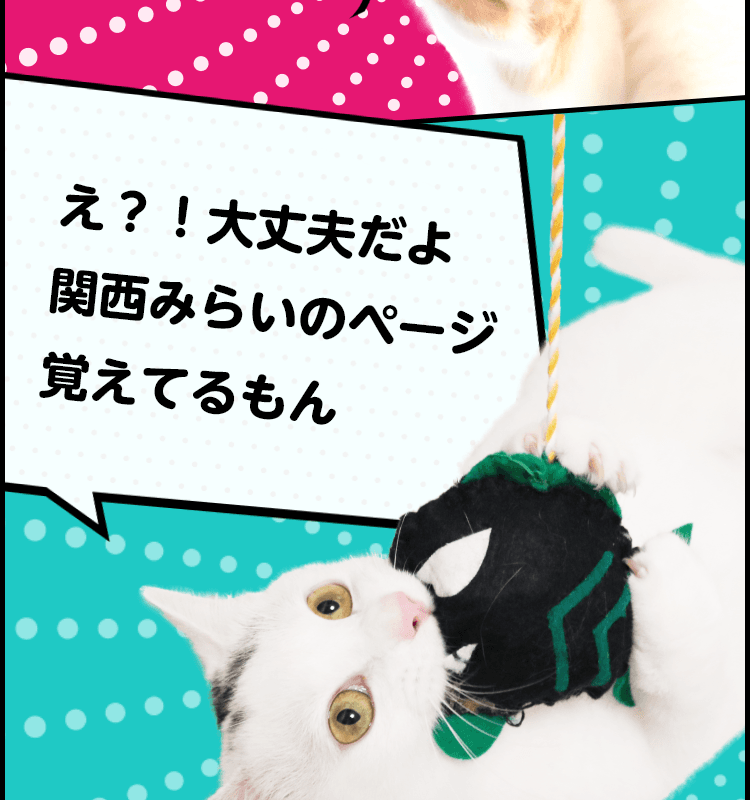劉猫　※配送方法変更は相談してください様 猫漫画で解説！他人事じゃないフィッシング詐欺とは？｜関西