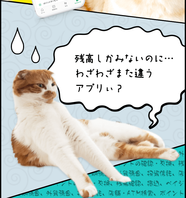 ねこまる様ご確認ページ まるさん18才！ Maru is 18 years old! | 私信 まるです。