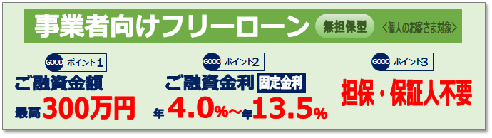 事業者向けフリーローン