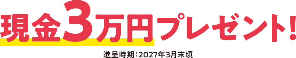 現金3万円プレゼント！進呈時期：2027年3月末頃