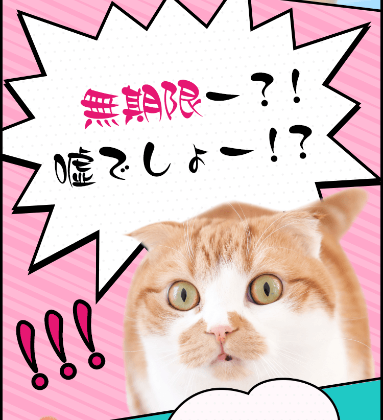 猫漫画で解説！2024年1月スタートの新NISAについて学ぼう｜関西みらい銀行