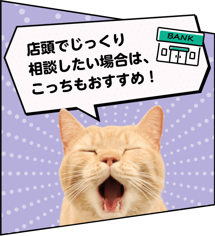 劉猫　※配送方法変更は相談してください様 劉猫 ※配送方法変更は相談してください様 2025年最新版】