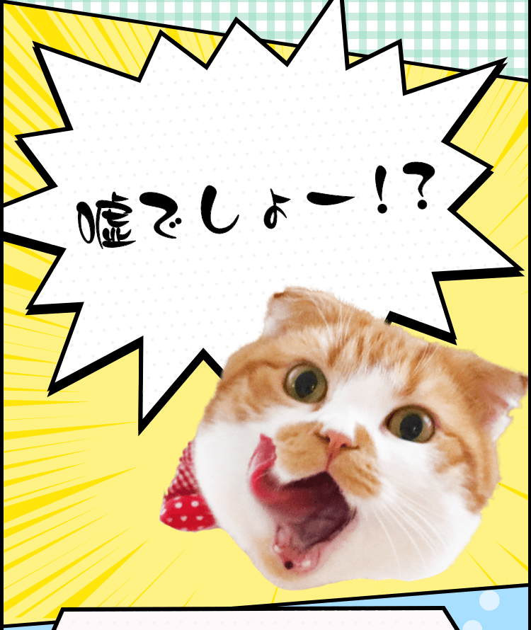 猫漫画で解説！スマホで手軽にはじめる資産運用｜関西みらい銀行