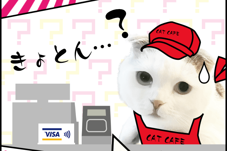 【ロゴ】VISA きょとん・・・？