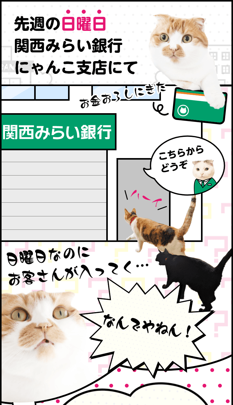 先週の日曜日関西みらい銀行にゃんこ支店にて こちらからどうぞ 日曜日なのにお客さんが入ってく… なんでやねん！