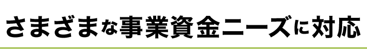 さまざまな事業資金ニーズに対応