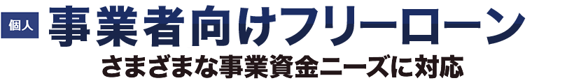 個人 事業者向けフリーローン さまざまな事業資金ニーズに対応