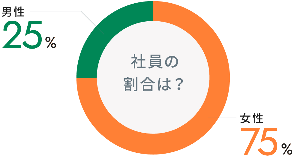 ▼社員の割合は？ 女性：75%／男性：25%
